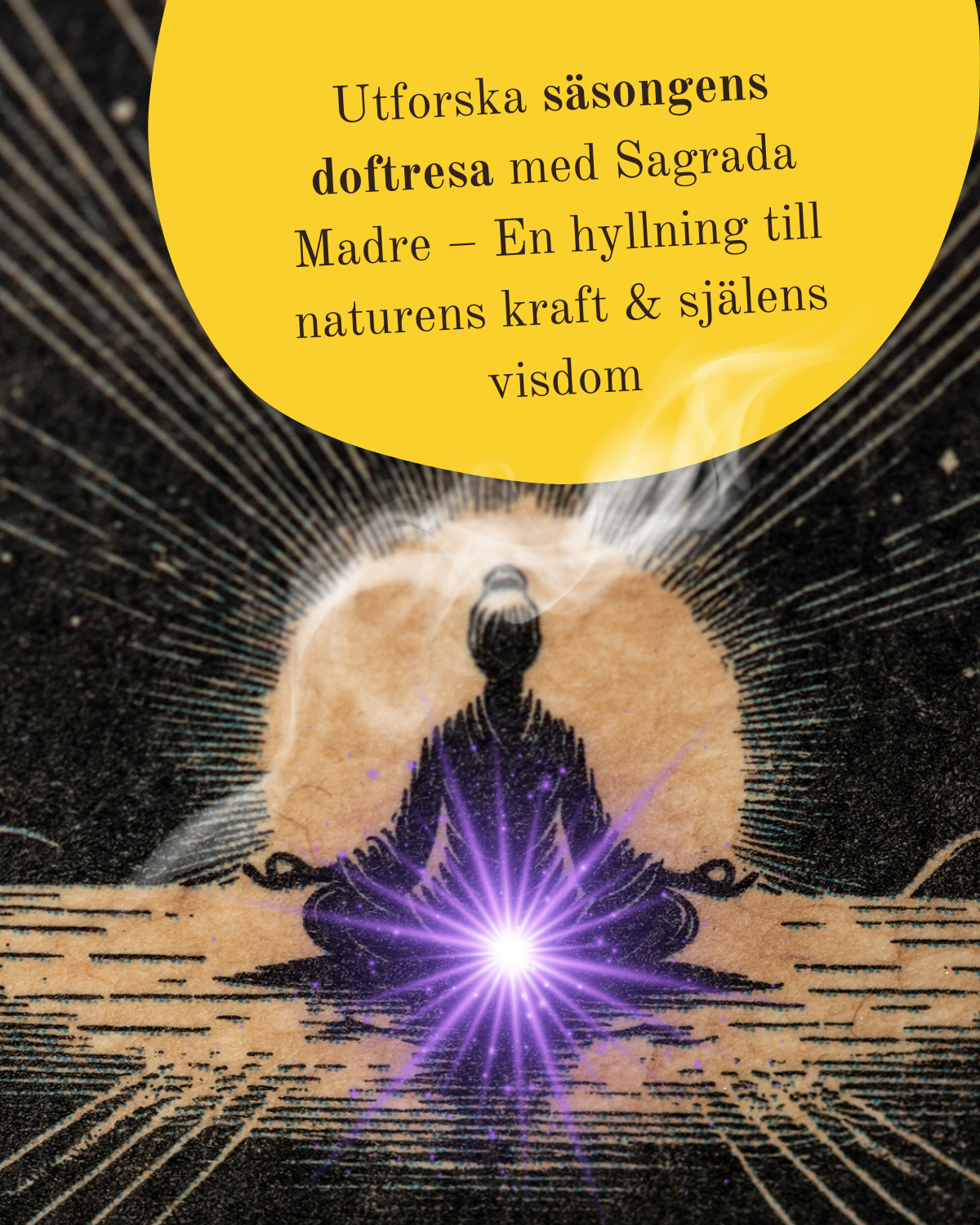 Utforska säsongens nyheter med Sagrada Madre