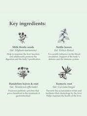 Organic Detox Soulel