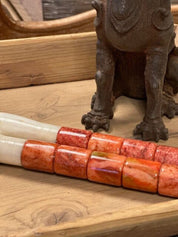 Kinesisk Penselborste