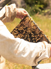 MGO250 Manuka Honung ANUK 250g