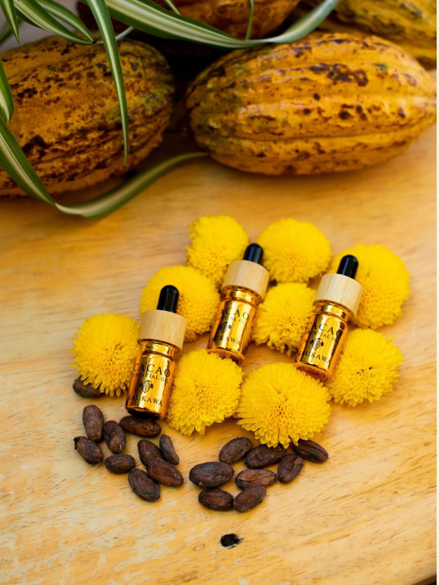 Kaukawa Cacao Essential Oil 5 ml Peru