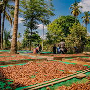 Moruga Bio Cacao Udzungwa Tanzania 350g