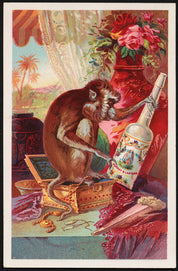 Agua de Florida Water USA 221 ml