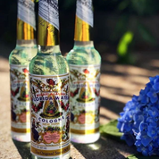 Agua de Florida Water USA 221 ml