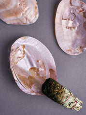 Mother of Pearl - Espiritu Santo