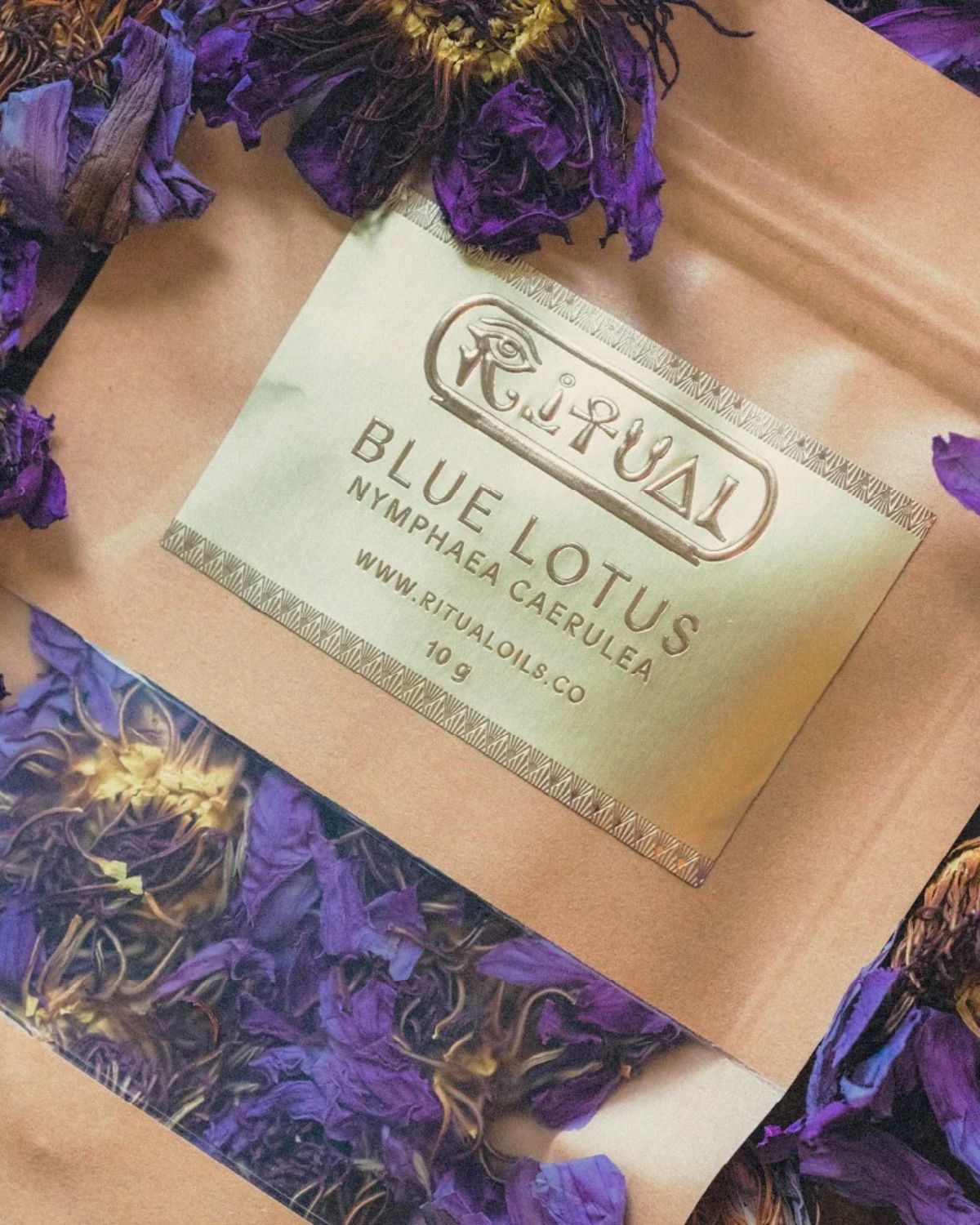 Blå Lotus Special: Tempelritualer, Parfymkonst & Medicin