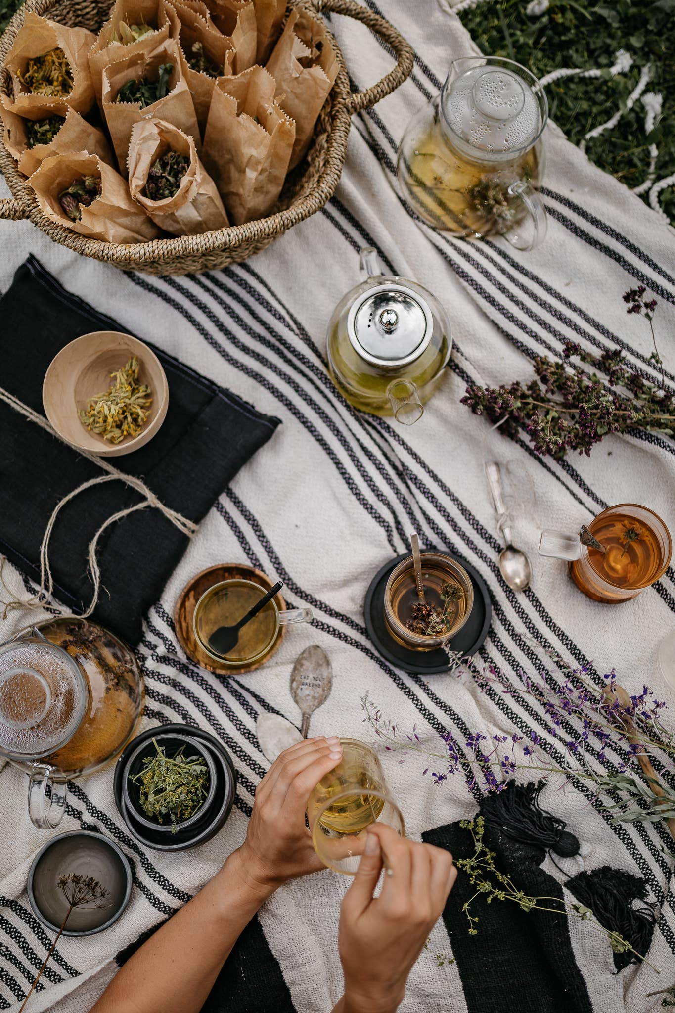 Nordic Black Tea Ekologiskt Örtte Plükt