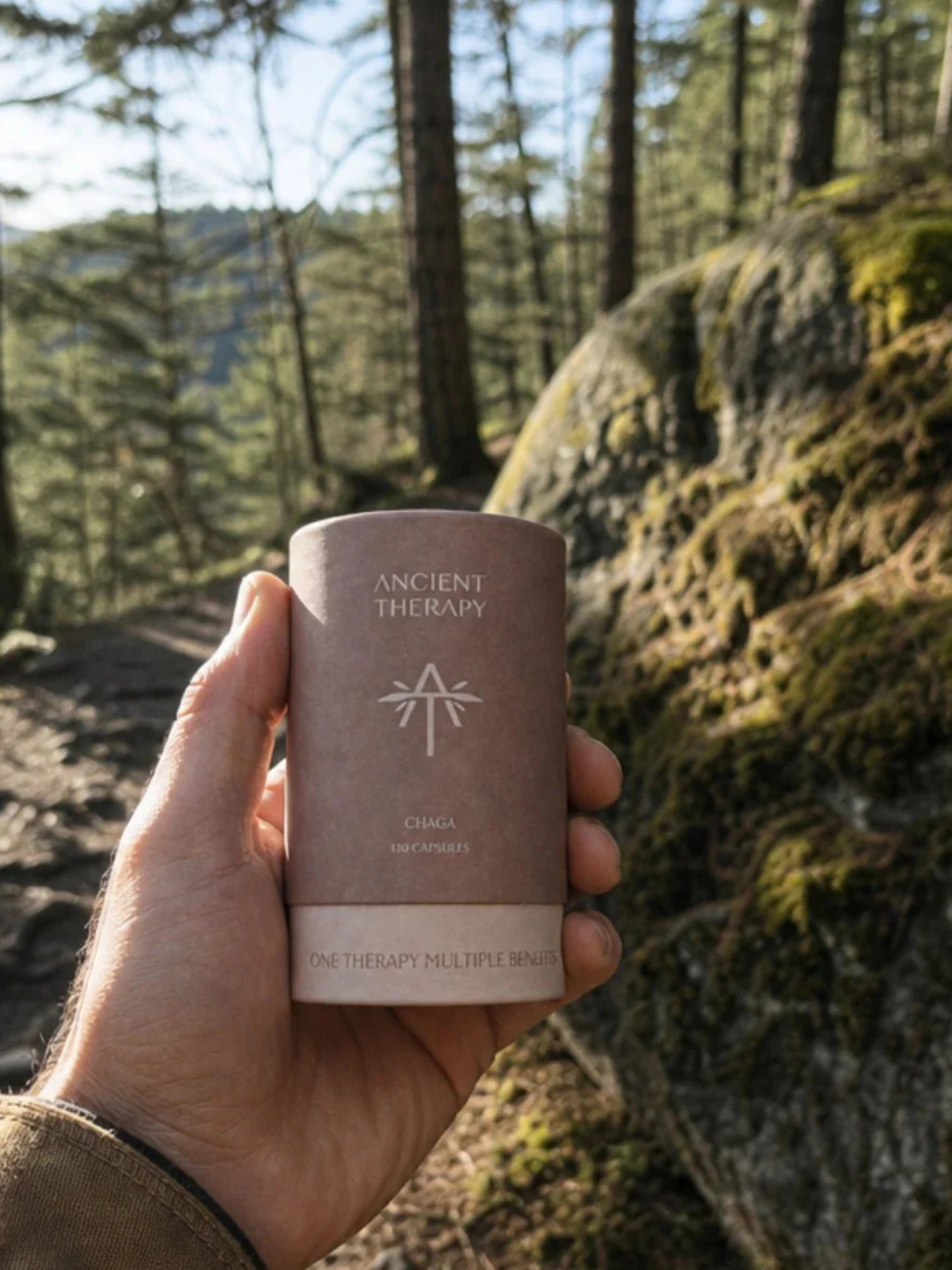 Ancient Therapy Chaga 120 Kapslar