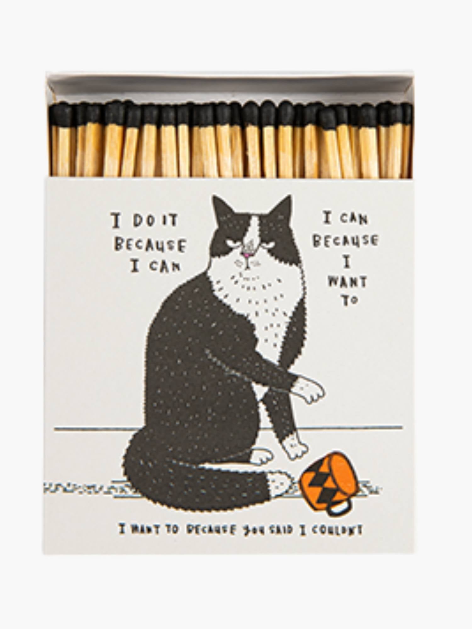 I Do It Because I Can Tändstickor Archivist