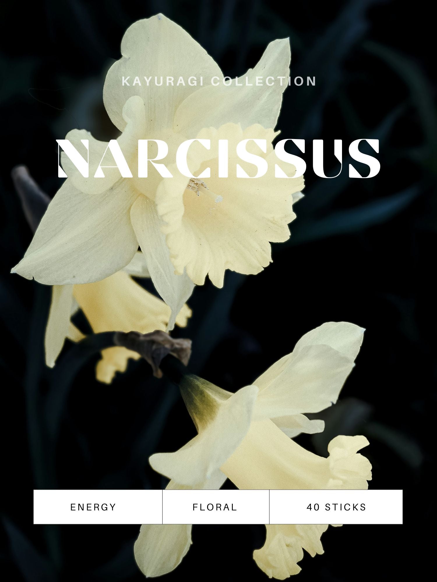 Kayuragi rökelse Narcissus