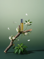 The Goddess Line – Saraswati Fragrance Oil 10 ml