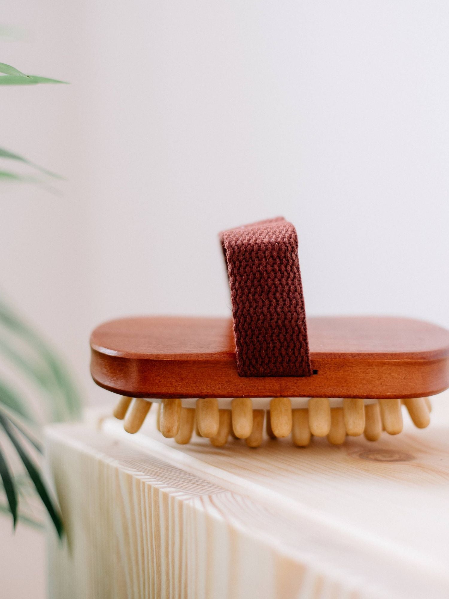 Cellulitborste Massage Spa Wellness