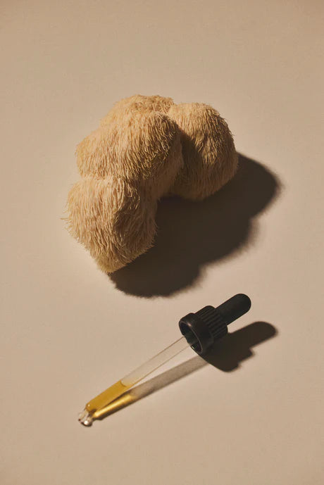 Mind Studio Lion's Mane Tinktur