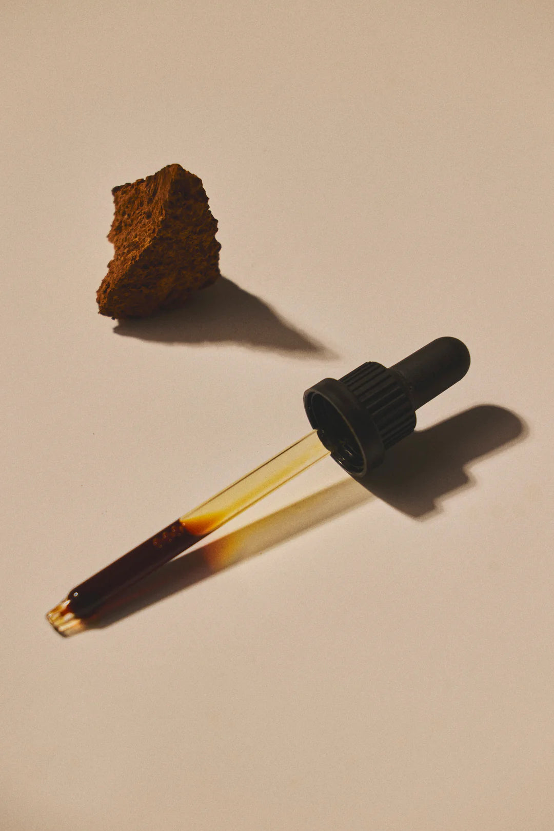 Mind Studio Chaga Tinktur