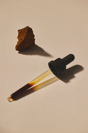 Mind Studio Chaga Tinktur