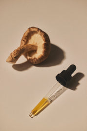 Mind Studio Shiitake Tinktur