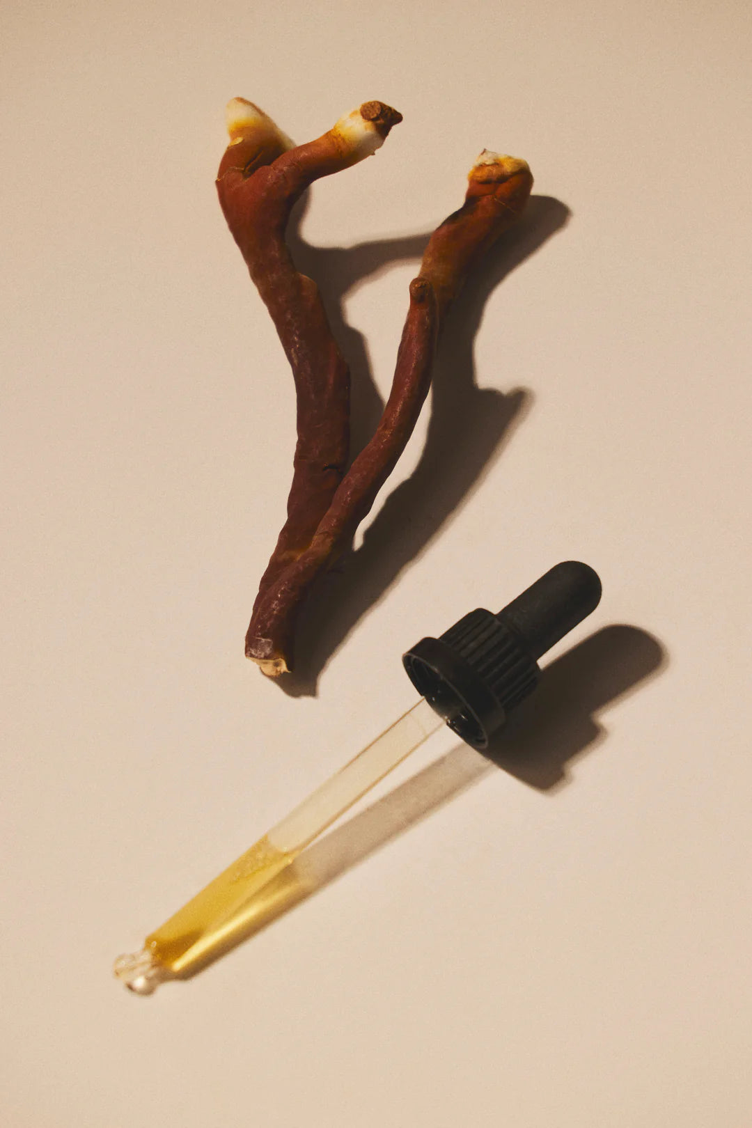 Mind Studio Reishi Tinktur