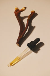 Mind Studio Reishi Tinktur