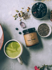 The Mind Cognition & Focus Anima Mundi