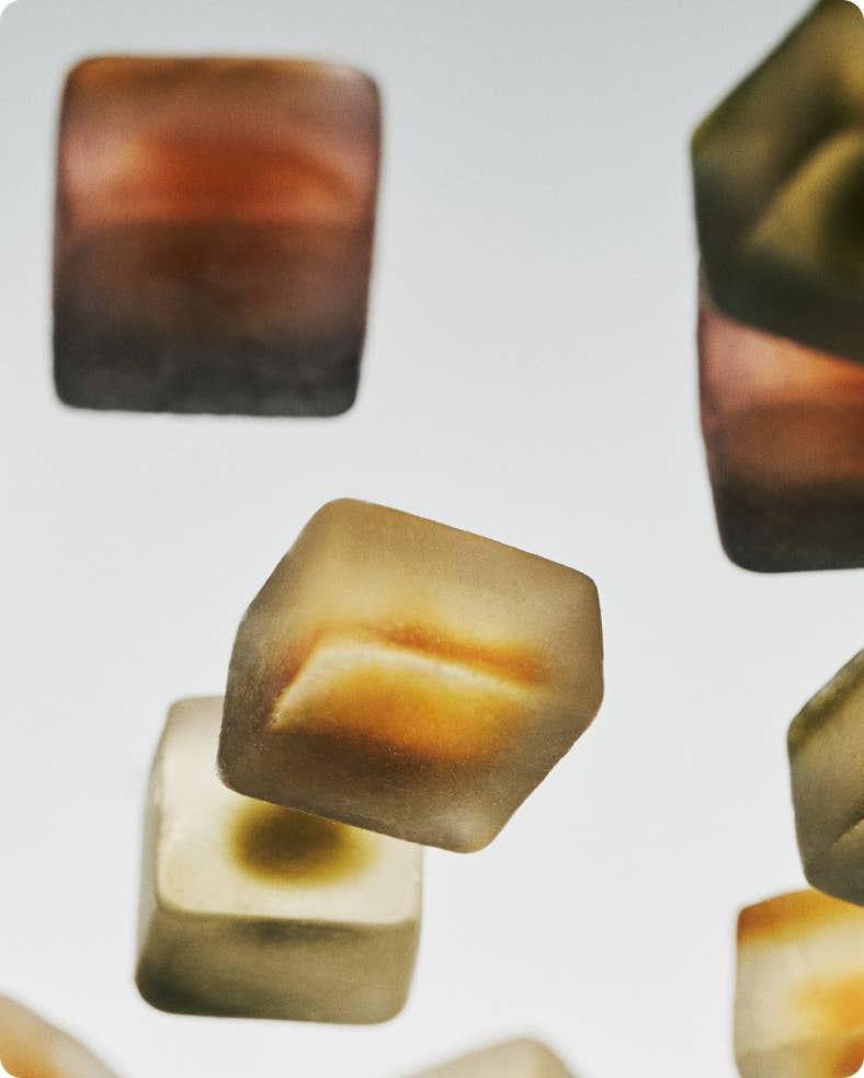 NOON SLEEP Mushroom Gummies