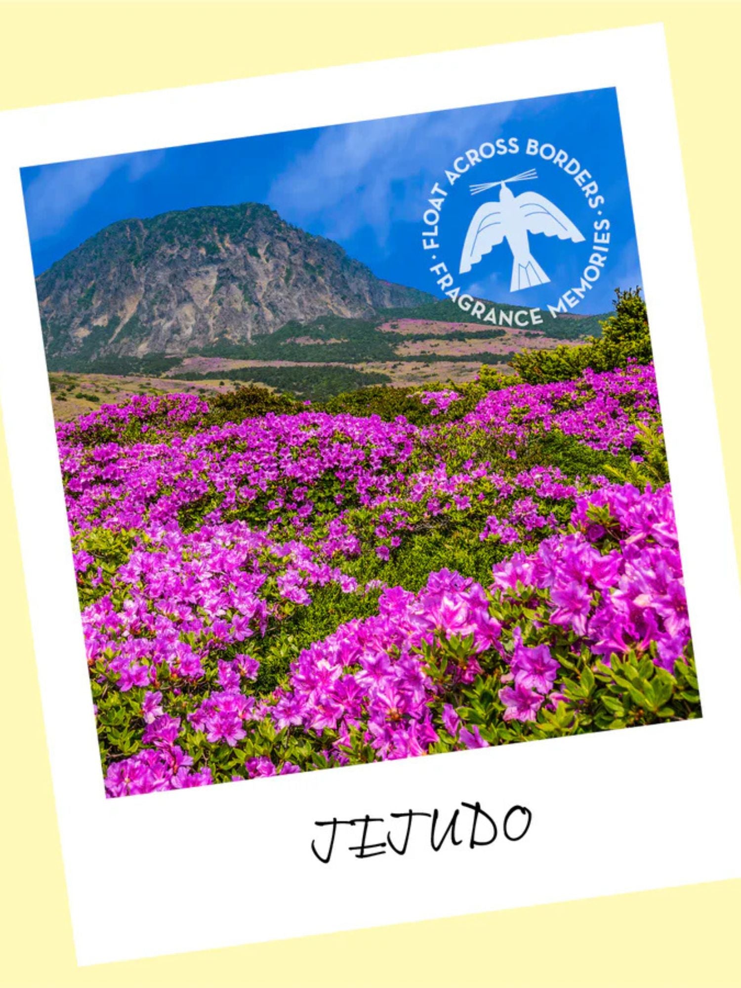 Fragrance Memories Rökelse Jejudo Field Nippon Kodo