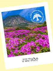 Fragrance Memories Rökelse Jejudo Field Nippon Kodo