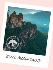 Scentsual Incense Brilliant Blue Lavender