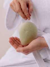 Konjacsvamp Aloe Vera