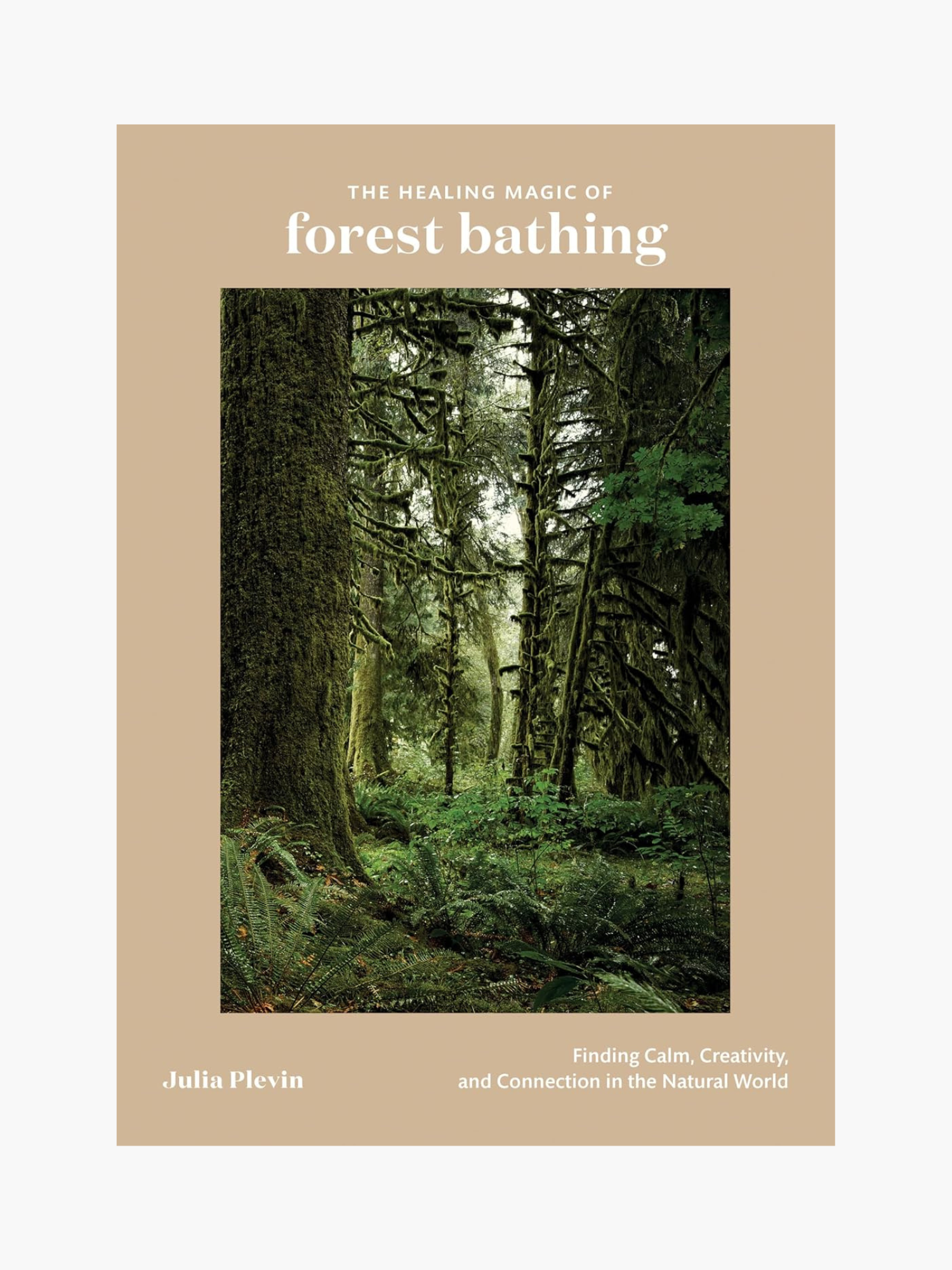 The Healing Power of Forest Bathing