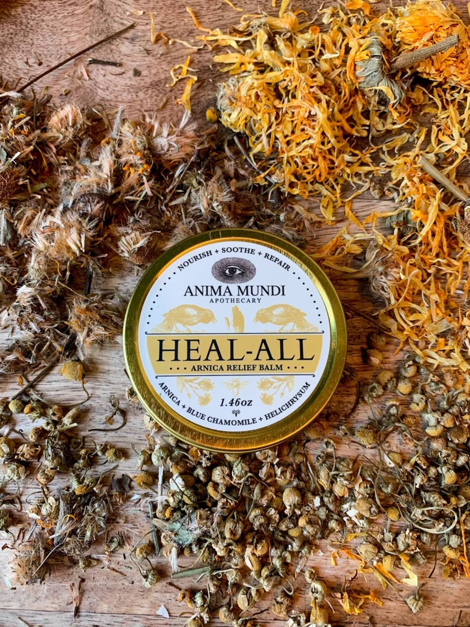 Heal All Arnica Relief Balm Anima Mundi