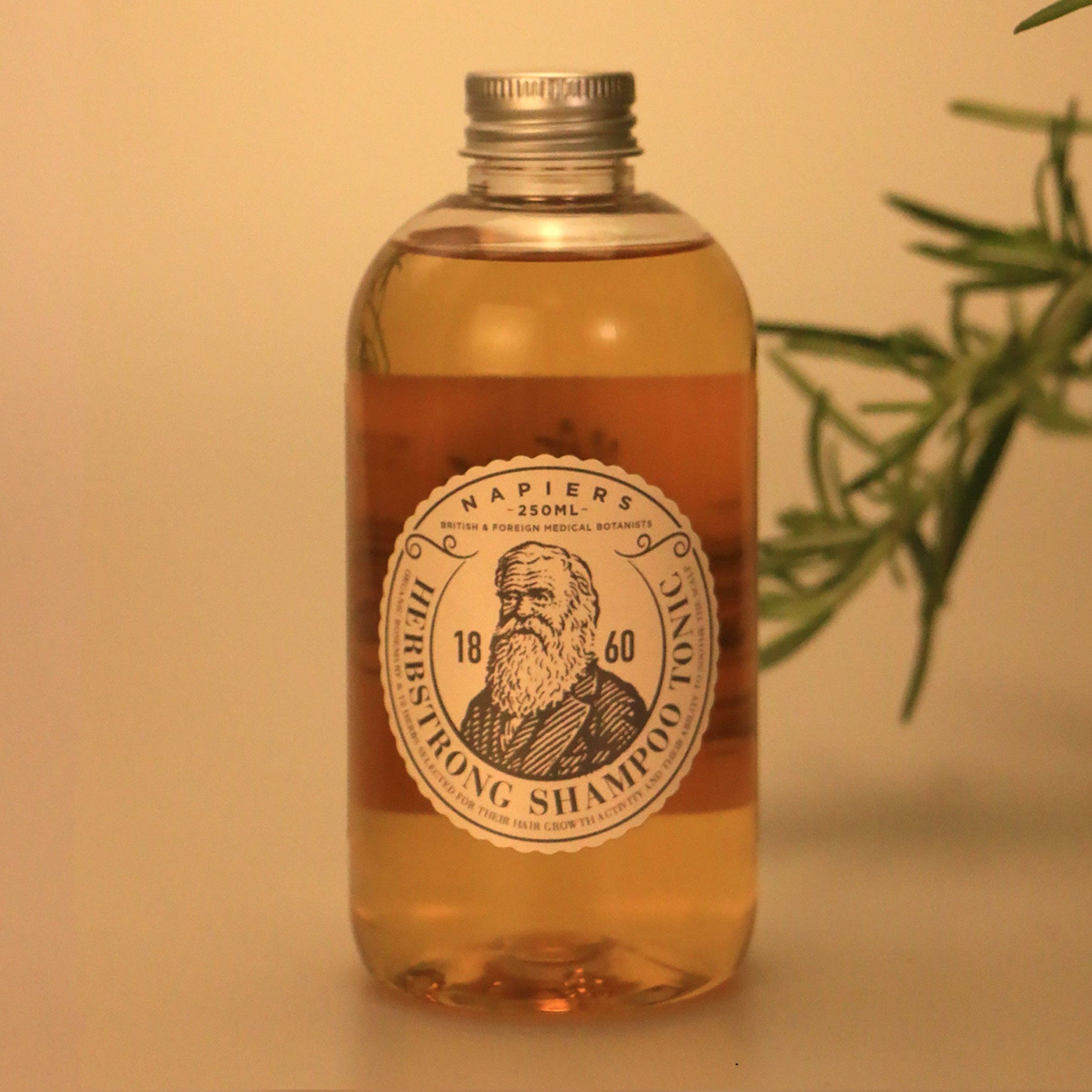 Napiers Herbstrong Schampo & Tonic – 50 ml
