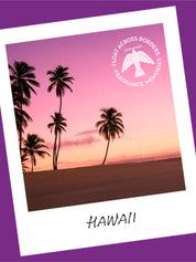 Fragrance Memories Rökelse Hawaii Sunset Nippon Kodo