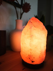 Himalaya Saltlampa