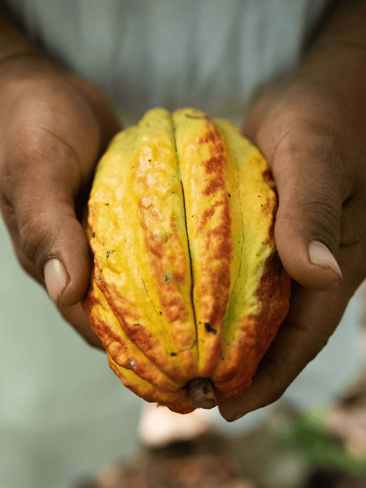 Nyhet! Raw Cacao Colombia Moruga 350g