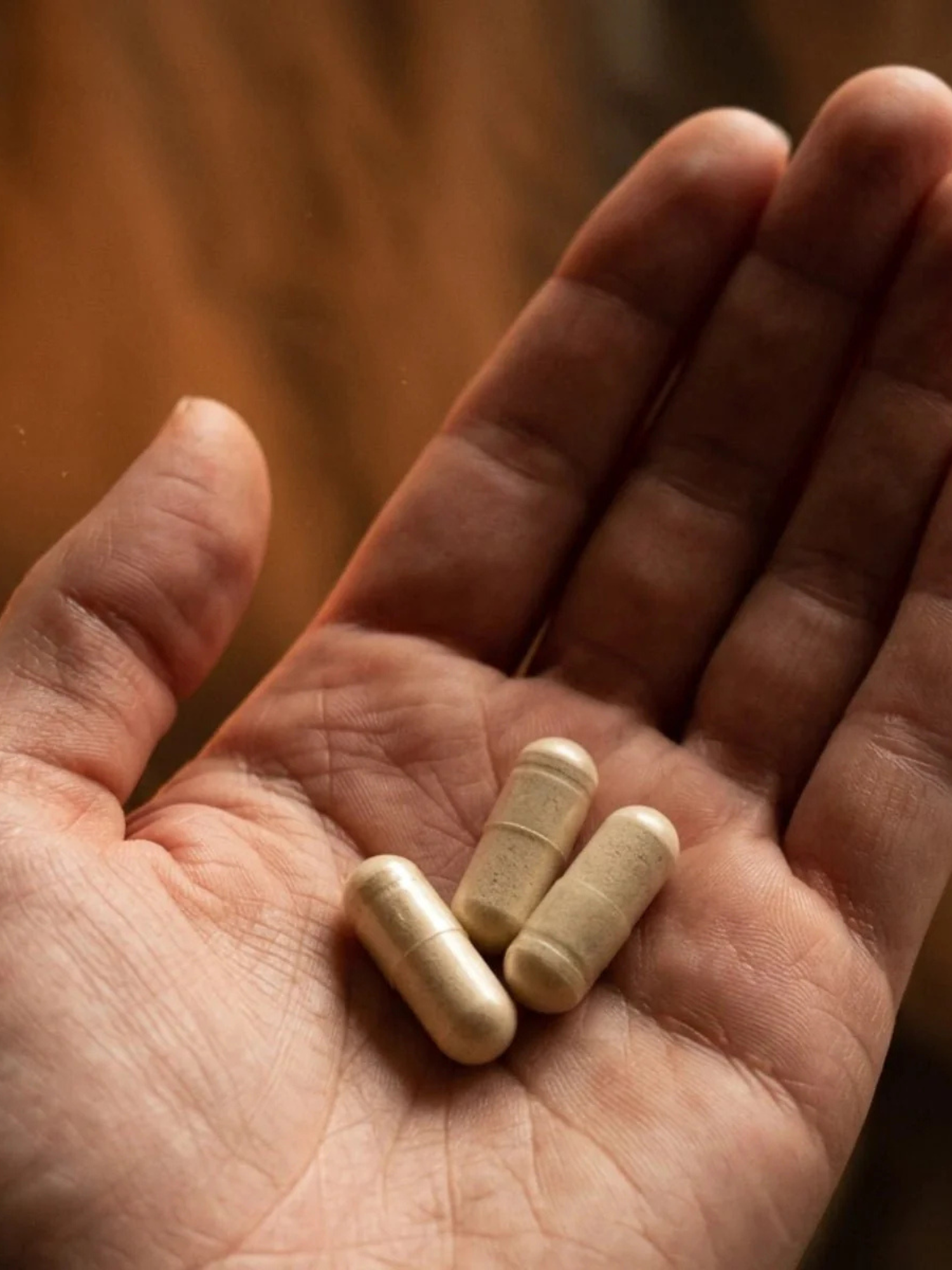 Ancient Therapy Ashwagandha 120 kapslar
