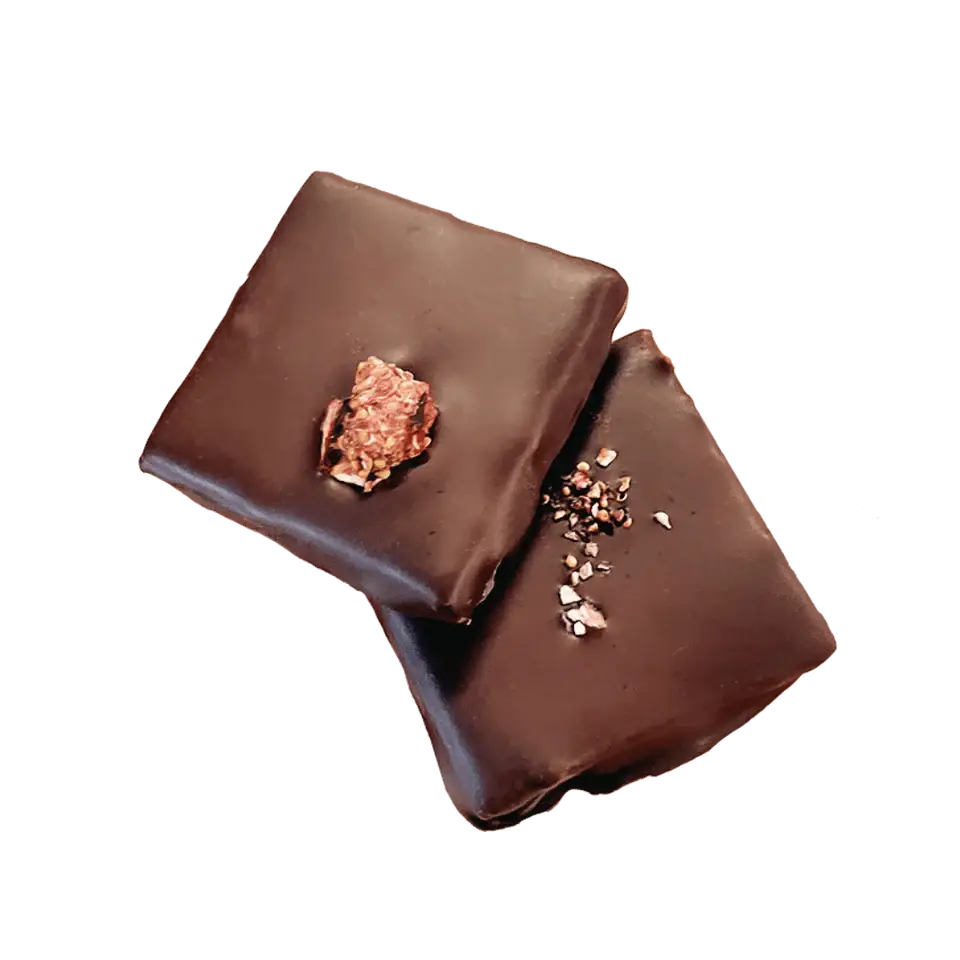 Salty Fig & Roasted Almond Nut Butter Chocolates 20g