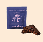 Wild Blueberry & Reishi Nut Butter Chocholate 20g