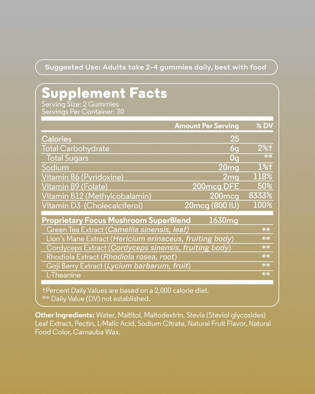 NOON FOCUS Mushroom Gummies