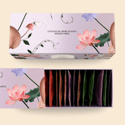 20 x Chakra 7 Flavours Nut Butter Box