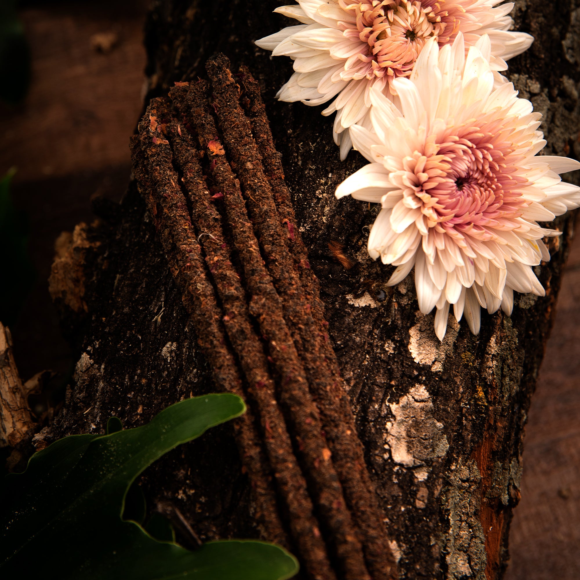 Botánico Clove &amp; Rose incense Sagrada Madre