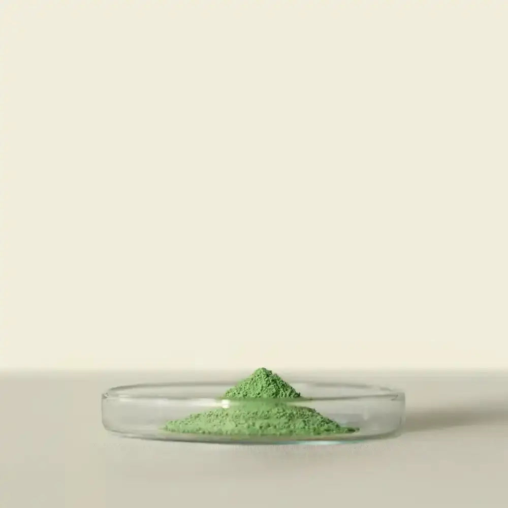 Matchaeologist - Midori™ Culinary Matcha 20g