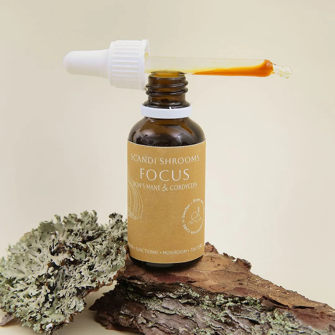 Focus Lion's Mane & Cordyceps Scandi Shrooms