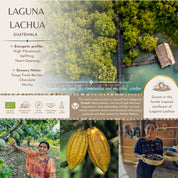 100% Ceremoniell Cacao Block Lachua 100g - GUATEMALA