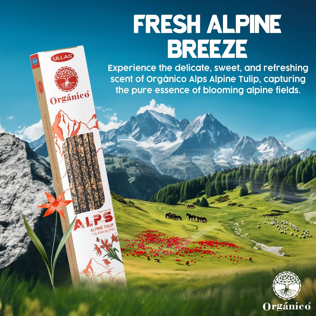 Alpine Tulip Rökelse Organico Alp Edition