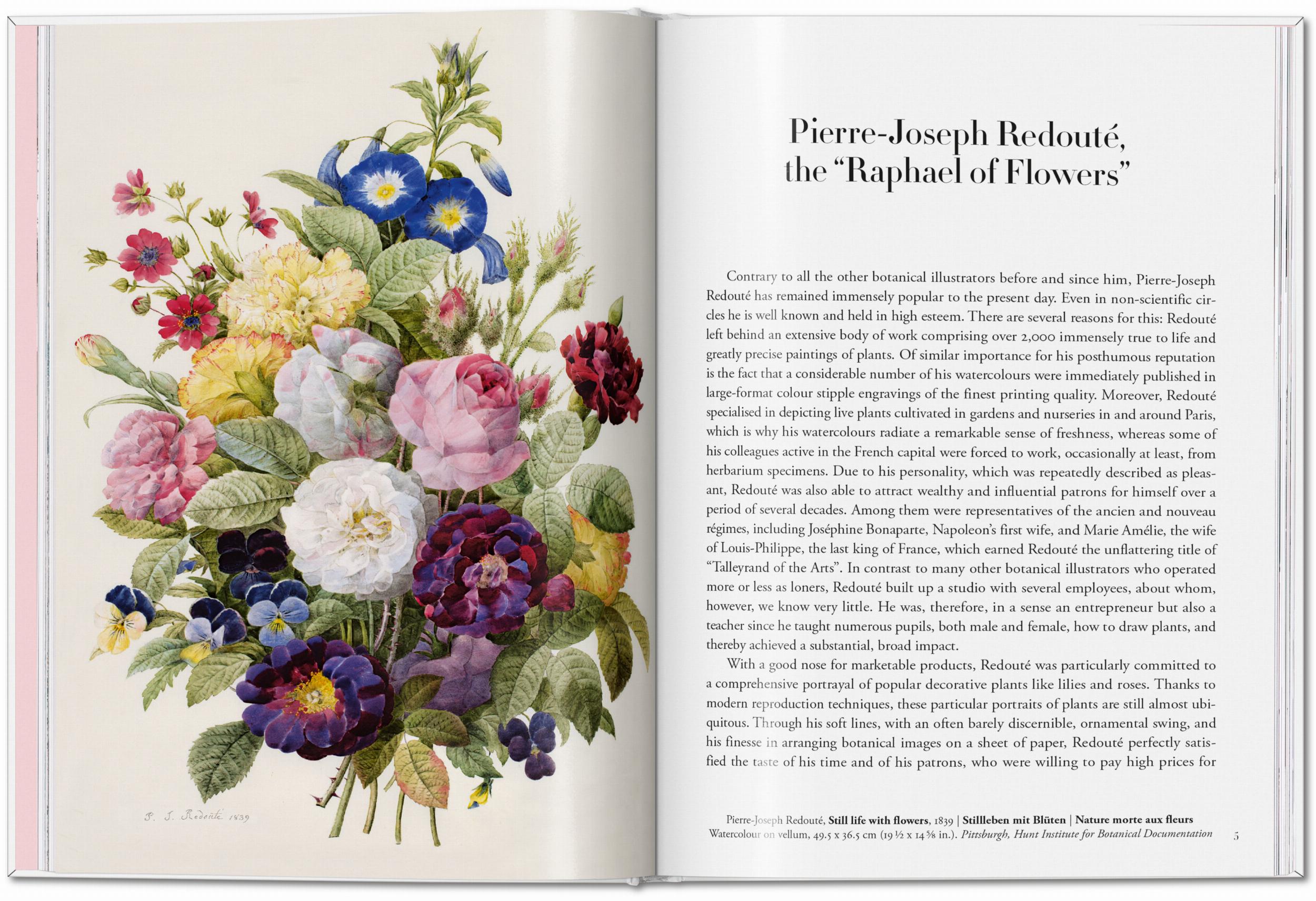 REDOUTE_ROSES_PO_INT_OPEN001_004_005_44052.jpg