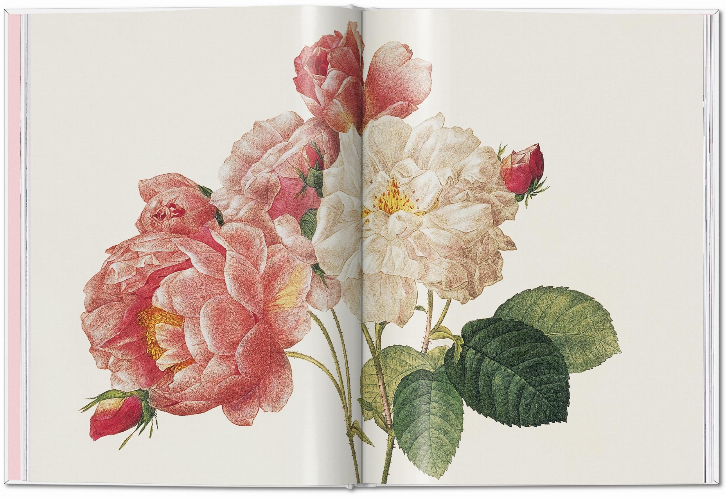 Redouté: Roses Taschen