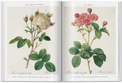 Redouté: Roses Taschen