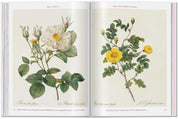 Redouté: Roses Taschen