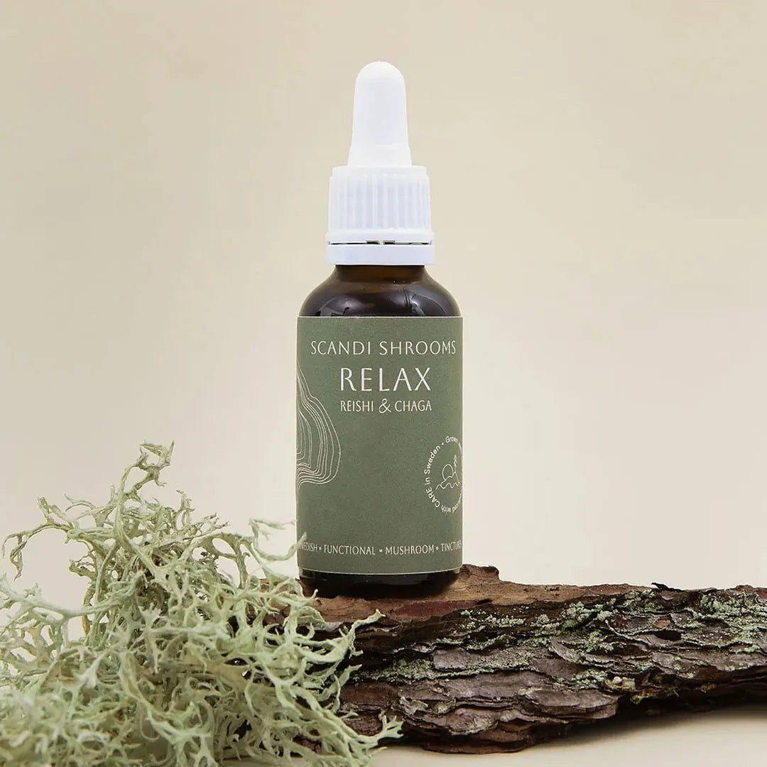 Relax Reishi & Chaga Scandi Shrooms