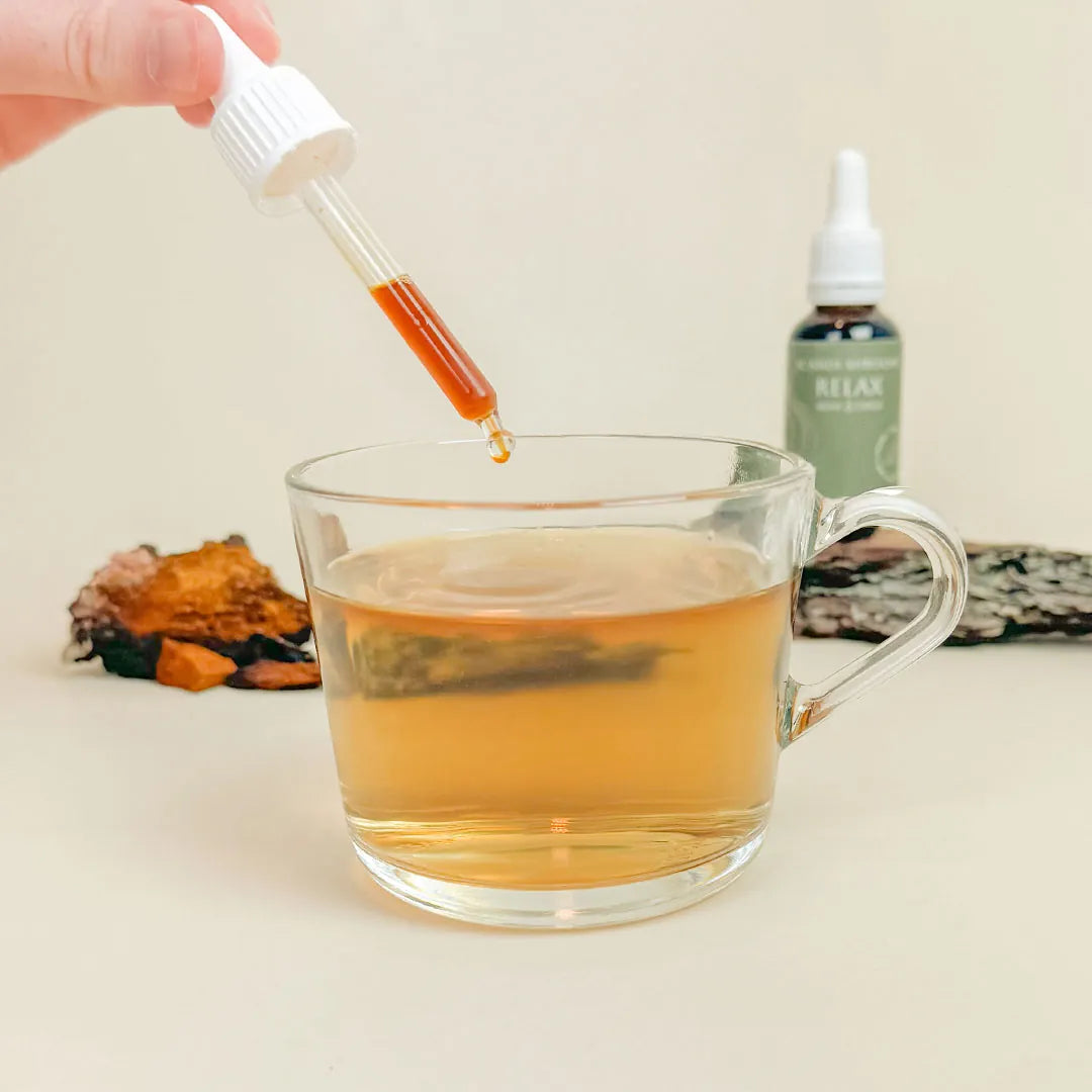 Relax Reishi & Chaga Scandi Shrooms
